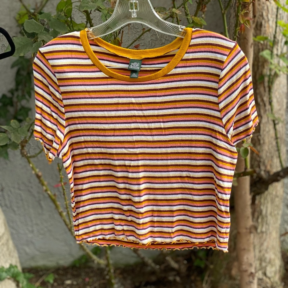 Wild Fable XL crop top. Striped.